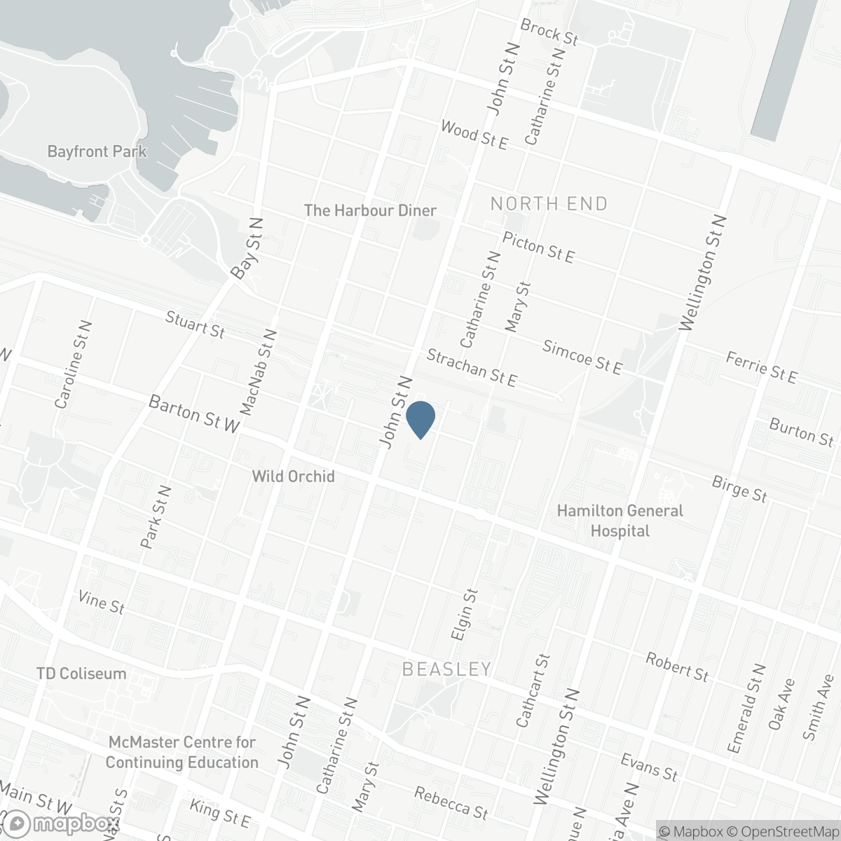 79 MURRAY Street E, Hamilton, Ontario L8L 3G1
